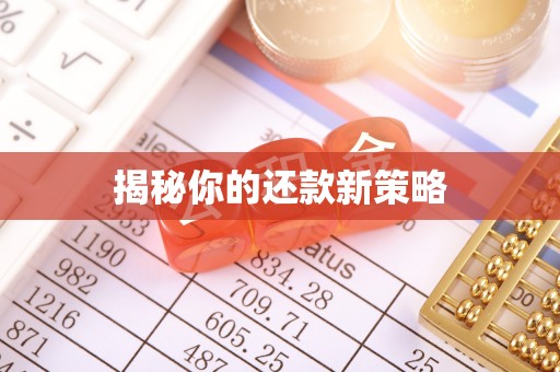 召陵揭秘你的还款新策略