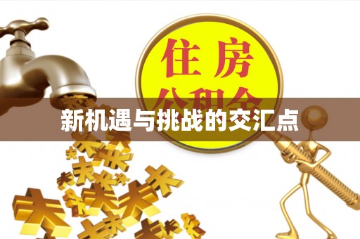 召陵新机遇与挑战的交汇点