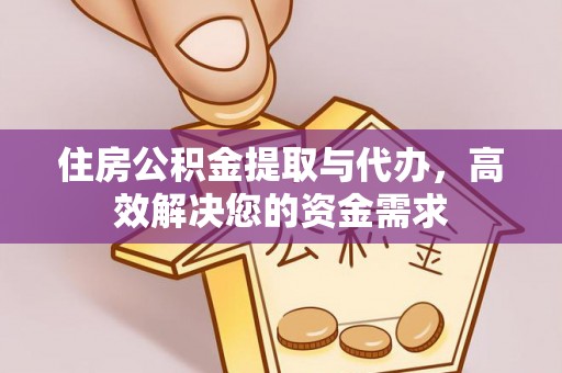 召陵住房公积金提取与代办，高效解决您的资金需求